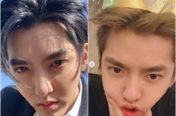 吴亦凡回加拿大恐遭再度起诉 400G影片少女遭侵犯是真的吗