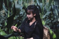 李子柒团队全被李亚鹏挖走真相是什么？