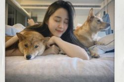 欧阳妮妮泄趴床照 与张书豪秘恋两年同居了？