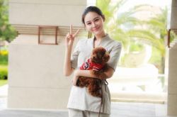 张颖颖又被拍爆同居汪小菲 直播背景泄玄机内幕