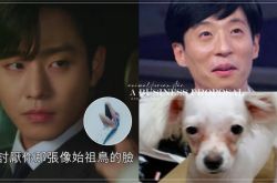 长得像动物的韩星盘点