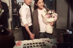 三生三世十里桃花什么时候上映,三生三世十里桃花剧情介绍