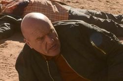 《绝命毒师》迪恩诺里斯巅峰之作 看汉克能否抓住大毒枭 