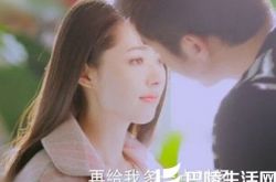 神犬小七丁涵艾亮剧照欣赏 带你欣赏最新萌宠电视剧 