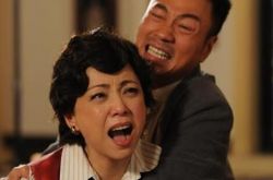 邓萃雯黎耀祥电视剧演绎家族风云 与《大宅门》相似引争议 