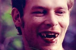 吸血鬼日记克劳斯怎么死的 卡罗琳爱上始祖 