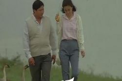 讲述八两金电影 回温老电影的思愁 