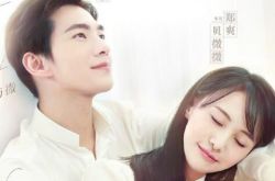 郑爽与杨洋演的电视剧《微微》开播获赞 花式撒糖甜煞众人 