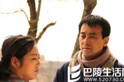 小麦进城剧情介绍 王茜华被赞“最接地气” 