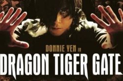 甄子丹龙虎门武打精彩绝伦 男神动作片巅峰之作 