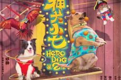 神犬小七2里面的歌曲介绍 小七进入度假村将会发生什么趣事 