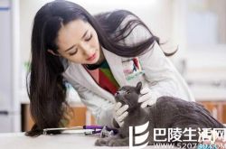 神犬小七的插曲歌有很多 金世佳携手郭碧婷暧昧登场 