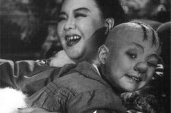 三毛流浪记电视剧剧情介绍 演绎悲惨遭遇的流浪经历 