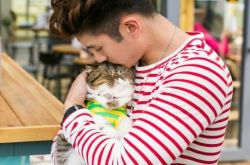 神犬小七2剧情介绍 一条流浪狗的传奇经历 