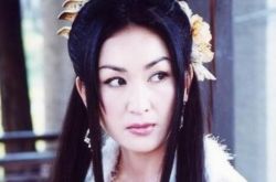 温碧霞火凤凰电视剧剧情介绍 她演的古装电视剧 