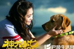电视剧神犬小七片尾曲第二季 《天使在我身边》正式全网发行 