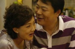 深圳夫妻电视剧高亚麟图片 剧情及演员表介绍 