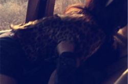 今夜天使降临电视剧登陆三大卫视 刘涛制服诱惑与李晨车震 