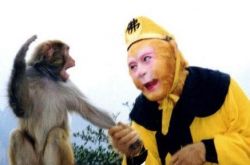 最老版西游记孙悟空照片欣赏 国人心中难忘的“美猴王” 