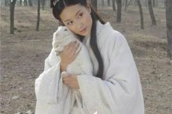 杨恭如主演古装电视剧有哪些？ 女神的奇妙人生大盘点 