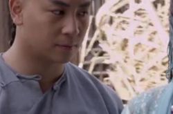 无敌铁桥三演员表简介   演绎一代英豪成长之路 