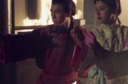 洪熙官电视剧情节跌宕起伏 看甄子丹精彩武打 