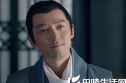 胡歌韩国粉丝多么 琅琊榜登陆韩国获高人气 