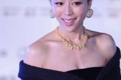 张静初碟中谍角色是大反派吗？ 其在《谍5》中打酱油？ 