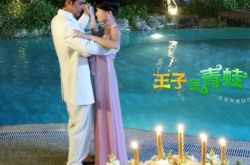 陈乔恩演过什么电视剧？ 王子变青蛙女神不容错过的经典之作 