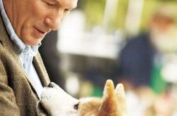 有关狗狗得好看电影是什么？ 一起来看看忠犬八公的故事 