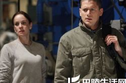 越狱电影版最后一越刺激惊悚收官 悲情结局拯救收视率 