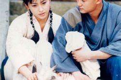 吴京版方世玉电视剧介绍 看其能否超越李连杰 