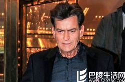 天网恢恢电视剧  由查理·帕尔导演引领众多实力演员 