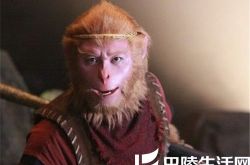 吴樾西游记女演员表介绍 完美诠释三性孙悟空 