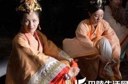 刘涛连续剧哪个好看 《芈月传》与孙俪大飙演技看点十足 