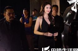 扫毒电影剧情详细介绍 张家辉