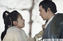 历史偶像剧琅琊阁电视剧全集   一部具有历史意义的巨作 