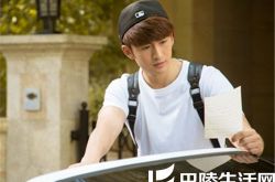 花火电视剧剧情简介大盘点 男神女神绽放高颜值 