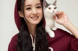 霍建华吻过赵丽颖吗？ 网友大呼“还我吻戏来” 