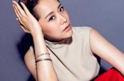 海清个人写真知性美丽 清姐新剧从“媳妇”演到“虎妈” 