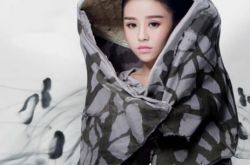 花千骨电影版苏晗主演  除女主角之外全是原班人马 