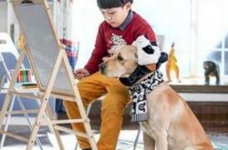 神犬小七第三季演员表大全 全新演员阵容吸引众人 