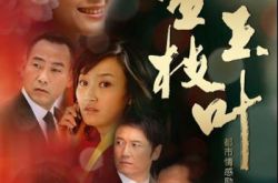 金枝玉叶电视剧演员表公开   演绎三姐妹的不同爱情故事 