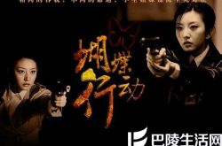 蝴蝶行动电视剧  孪生姐妹上演精彩的计中计 