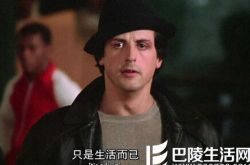 西尔维斯特·史泰龙电影之洛奇 功夫巨星倾情演绎励志爱情片 
