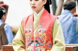 郑伟文导演揭秘《女医》收视秘笈 “用心娱乐” 