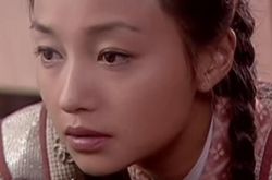 程刚和杨排风《杨门女将》合作 从丫鬟到女将的传奇人生 