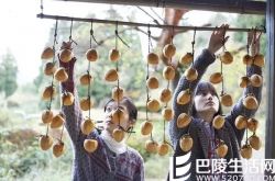 涉江让二沢井美优电影小森林强烈推荐 非常好看的美食电影 