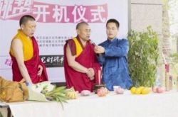 《樱桃帮》电影网络剧开机 豪乳罗莉一片红 