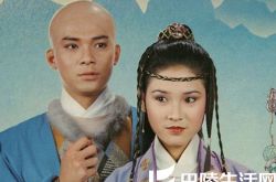 麦景婷天龙八部饰王语嫣丫鬟 剧情跌宕起伏引人入胜 